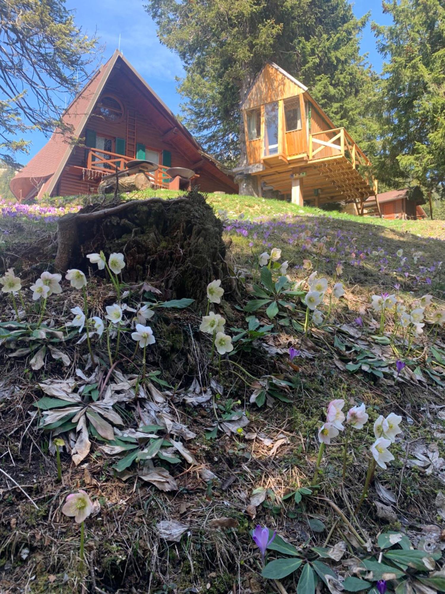 Tree House Alpinka Krvavec Villa Cerklje na Gorenjskem Exterior photo